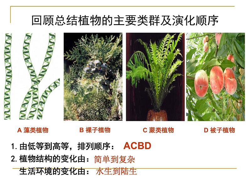 北师大版八下生物 22.4动物的主要类群 课件02