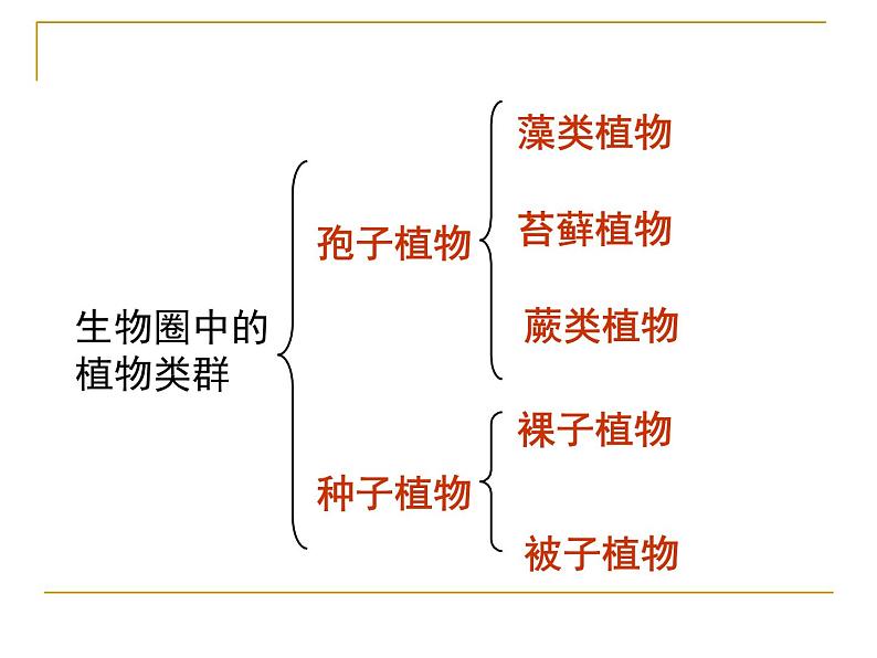 北师大版八下生物 22.4动物的主要类群 课件03