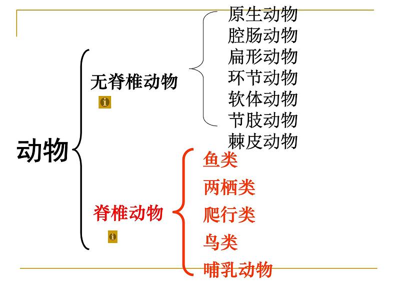 北师大版八下生物 22.4动物的主要类群 课件07