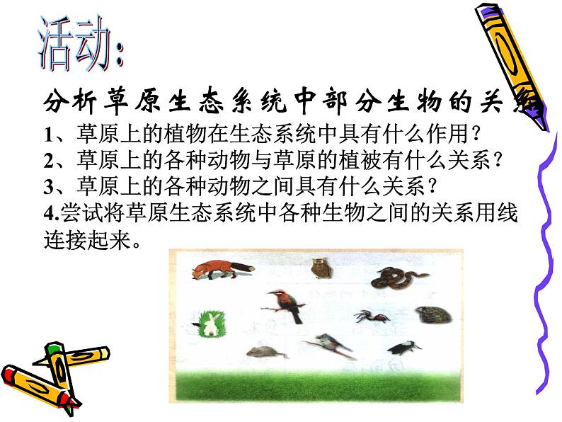 北师大版八下生物 23.3生态系统的结构和功能 课件03