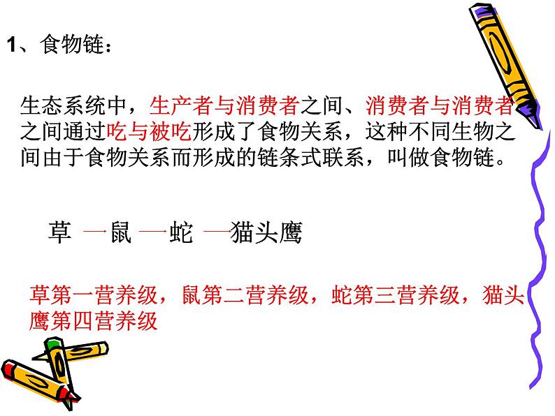 北师大版八下生物 23.3生态系统的结构和功能 课件05
