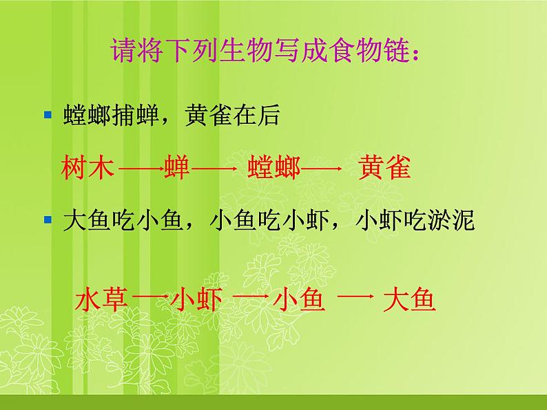 北师大版八下生物 23.3生态系统的结构和功能 课件07
