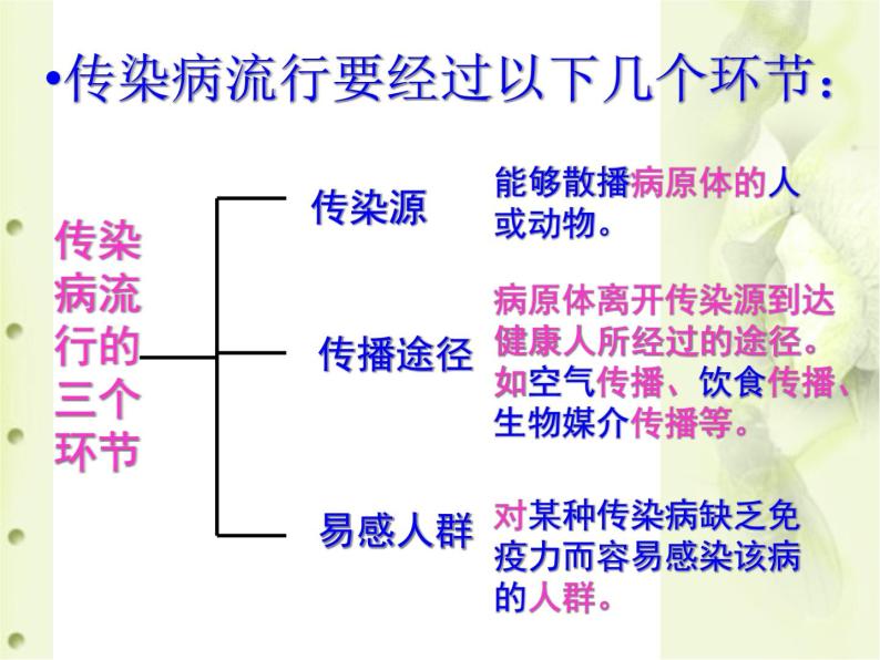 冀教版七下生物 6.2疾病与预防 课件06