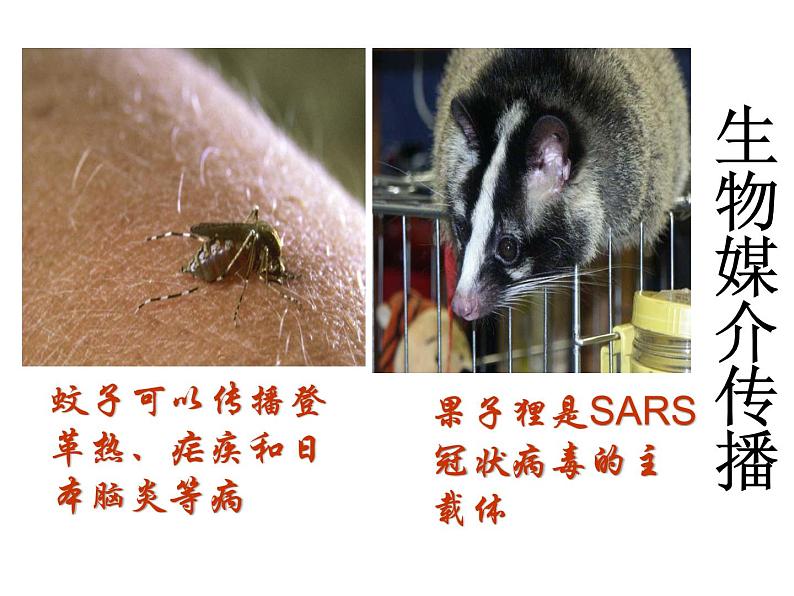 苏科版八下生物 24.2 传染病的预防 课件第8页