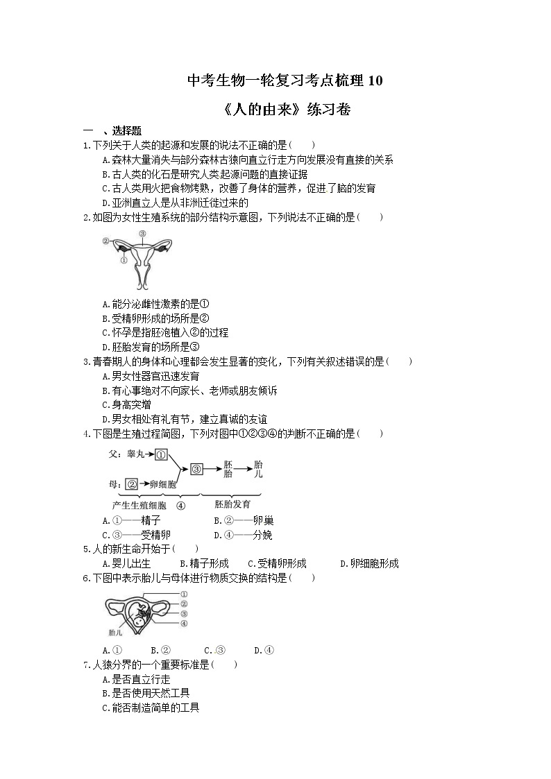 中考生物一轮复习考点梳理10《人的由来》练习卷（含答案）01