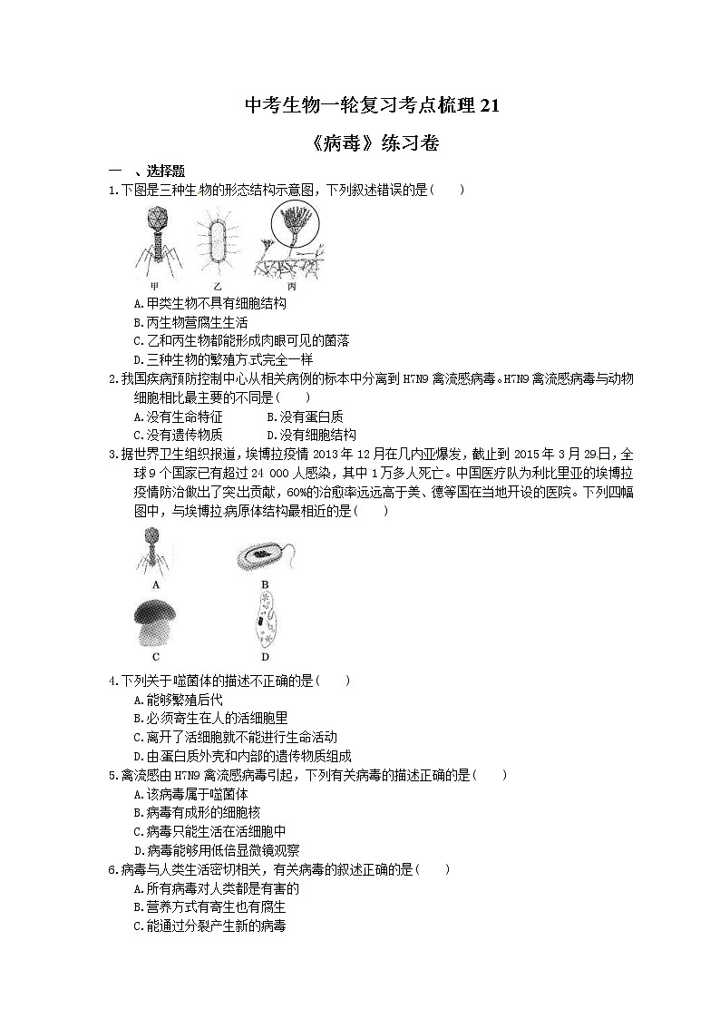 中考生物一轮复习考点梳理21《病毒》练习卷(含答案)第1页
