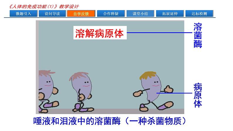 济南版七年级下册生物 6.1人体的免疫功能 课件07