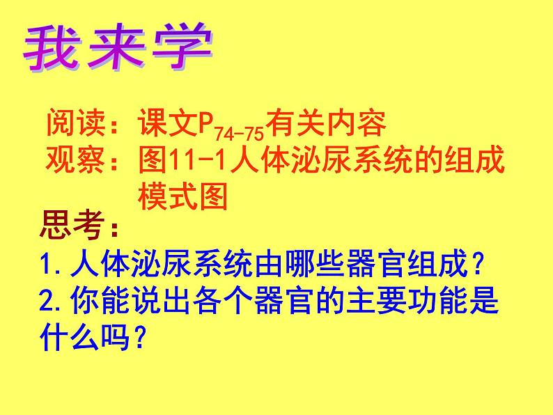 苏教版七年级下册生物 11.1人体泌尿系统的组成 课件第3页