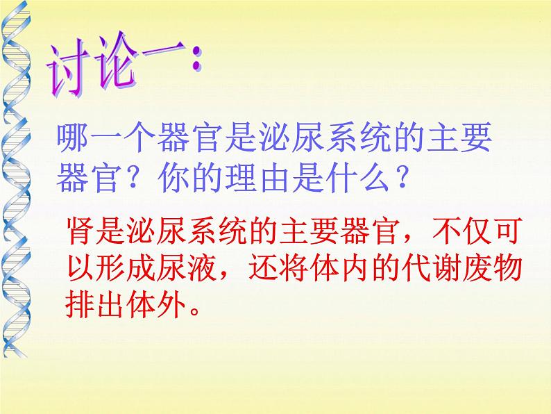 苏教版七年级下册生物 11.1人体泌尿系统的组成 课件第5页
