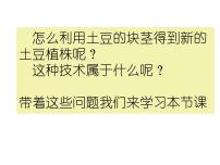 生物苏教版第一节 生物的无性生殖教课ppt课件