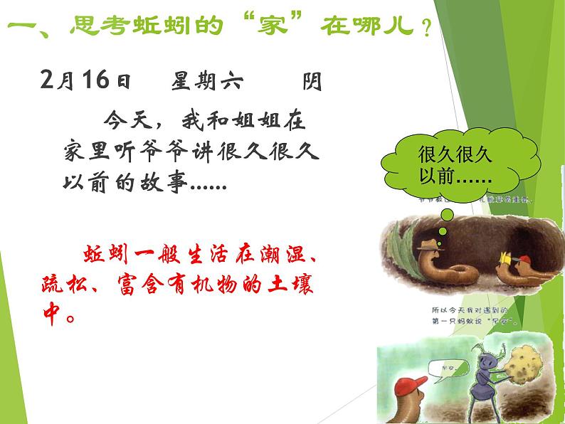 苏科版七年级下册生物 13.1土壤里的小动物 课件04