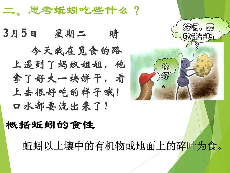 苏科版七年级下册生物 13.1土壤里的小动物 课件05