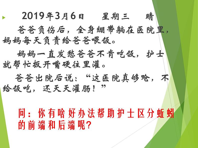 苏科版七年级下册生物 13.1土壤里的小动物 课件06