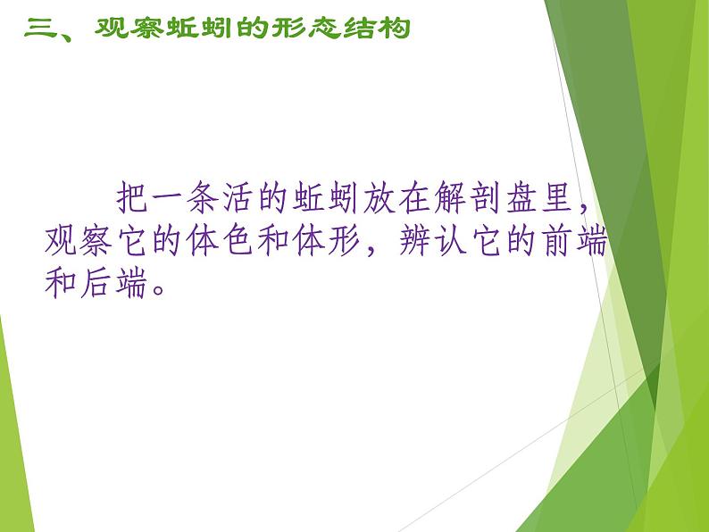 苏科版七年级下册生物 13.1土壤里的小动物 课件07
