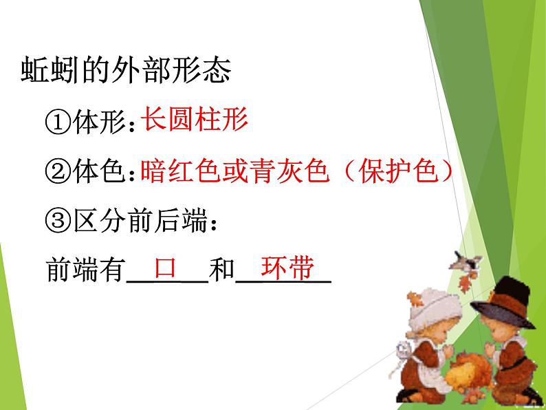 苏科版七年级下册生物 13.1土壤里的小动物 课件08