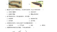 初中生物北师大版八年级下册第七单元 生命的演化第22章  物种的多样性第4节  动物的主要类群优秀课时作业