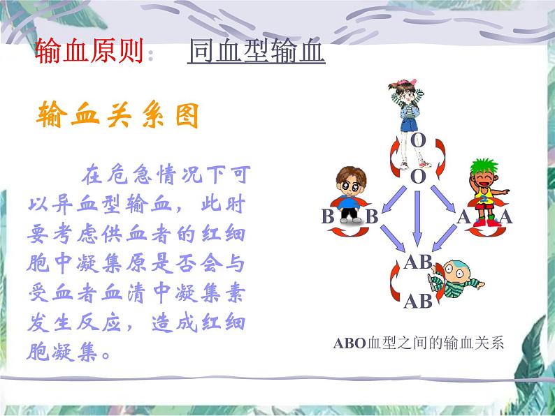 生物专项复习 第10章人体内的物质运输和能量供给复习优质课件第5页