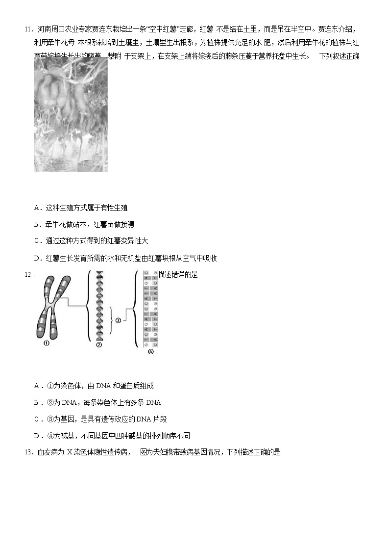2021北京燕山区八年级(上)期末生物试题(原卷版)03