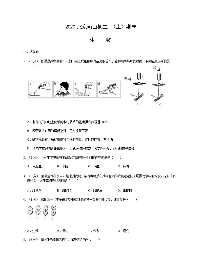 2020北京燕山区八年级(上)期末生物试题(原卷版)第1页