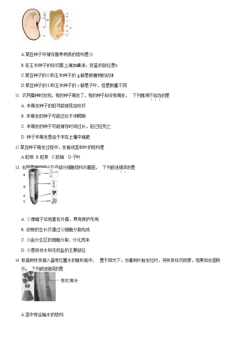 2021北京海淀区七年级（上）期末生物试题（解析版）03