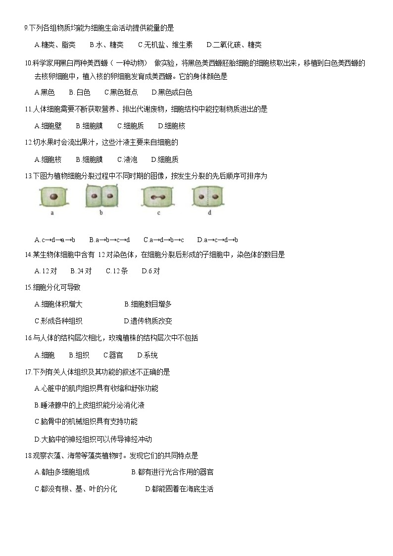 2021北京东城区七年级（上）期末生物试题（解析版）02