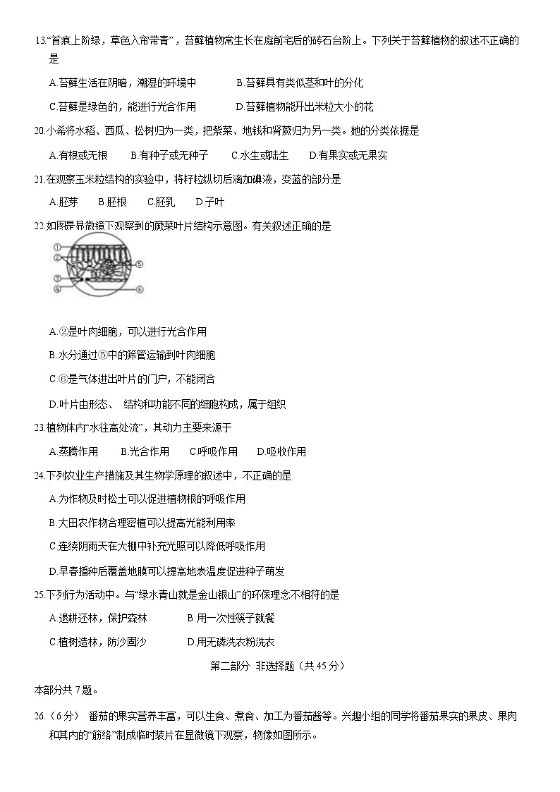 2021北京东城区七年级（上）期末生物试题（解析版）03