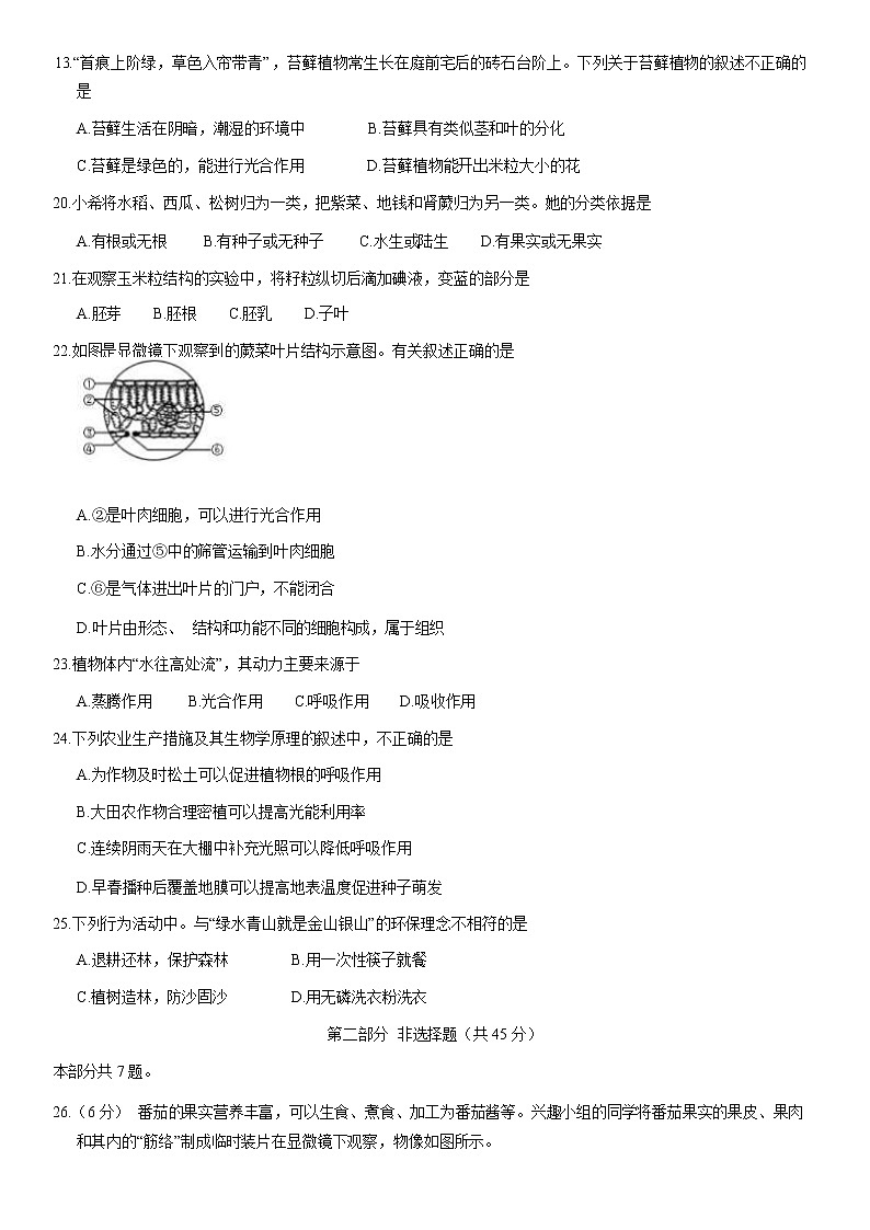 2021北京东城区七年级(上)期末生物试题(解析版)第3页