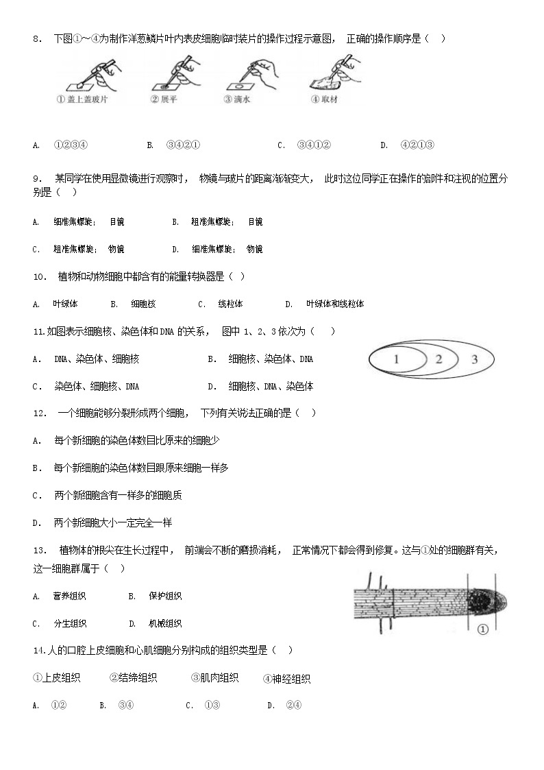 2020北京东城区七年级（上）期末生物试题（解析版）02
