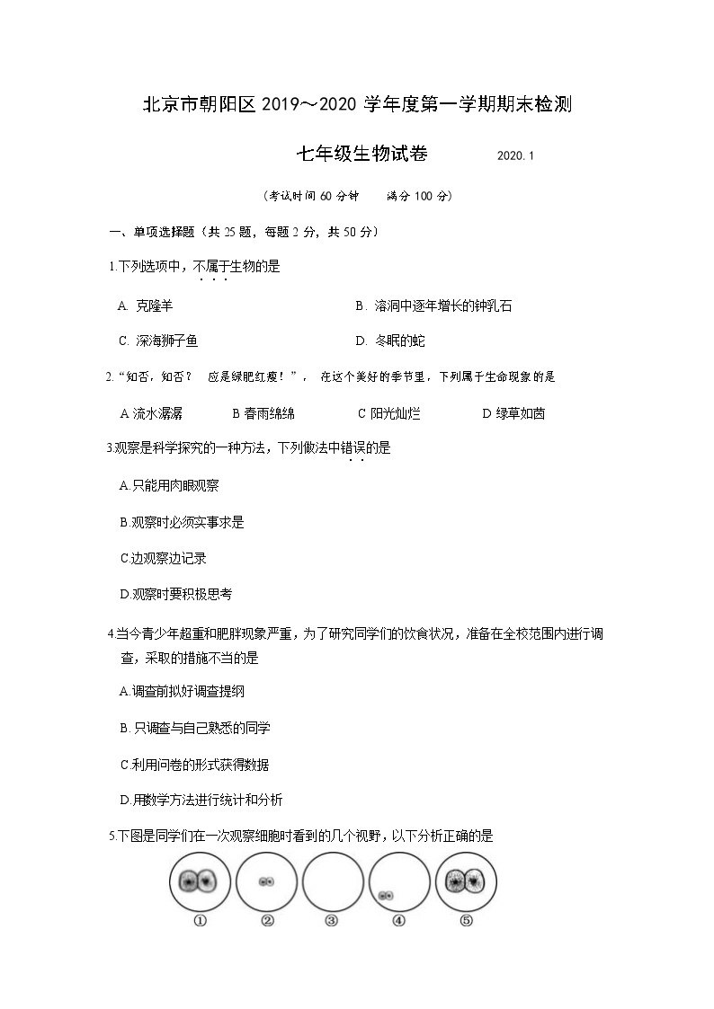 2020北京朝阳区七年级（上）期末生物试题（原卷版）01