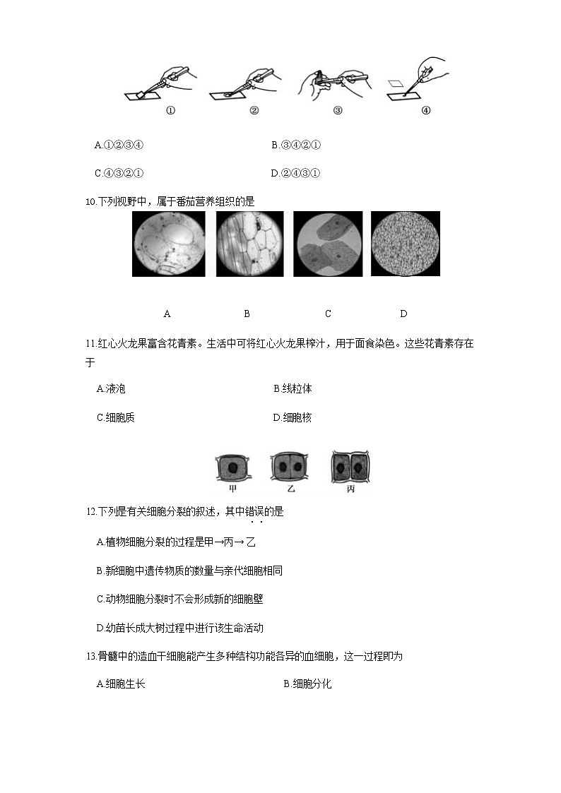 2020北京朝陽(yáng)區(qū)七年級(jí)（上）期末生物試題（原卷版）第3頁(yè)