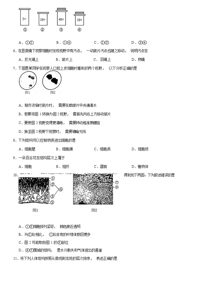 2021北京朝阳区七年级(上)期末生物试题(解析版)第2页