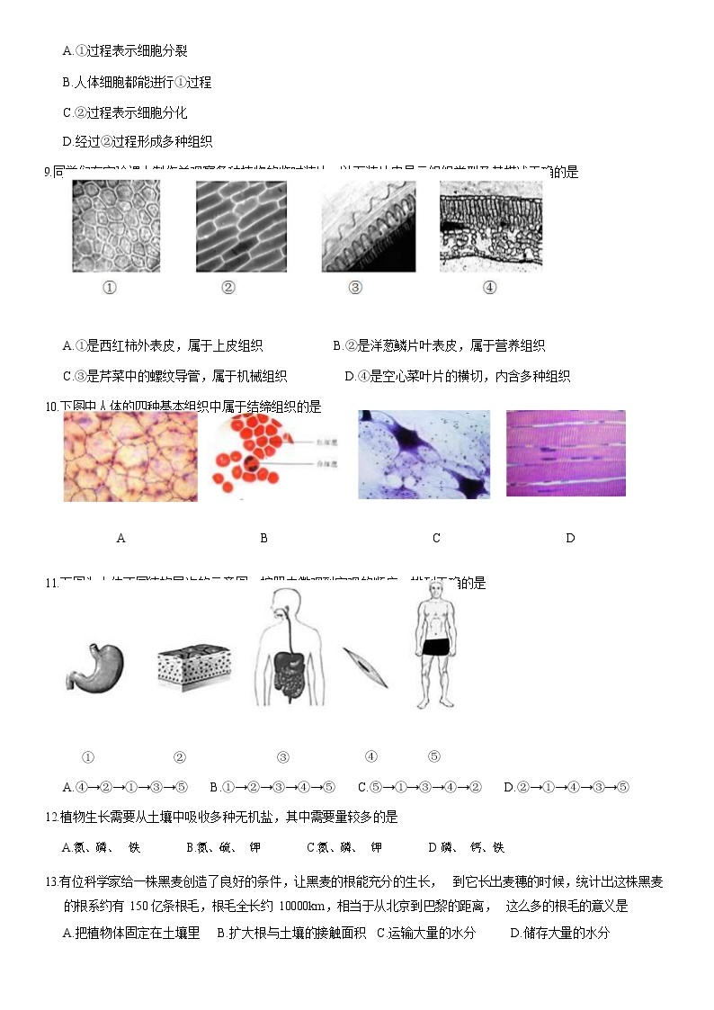 2021北京密云区七年级（上）期末生物试题（解析版）03