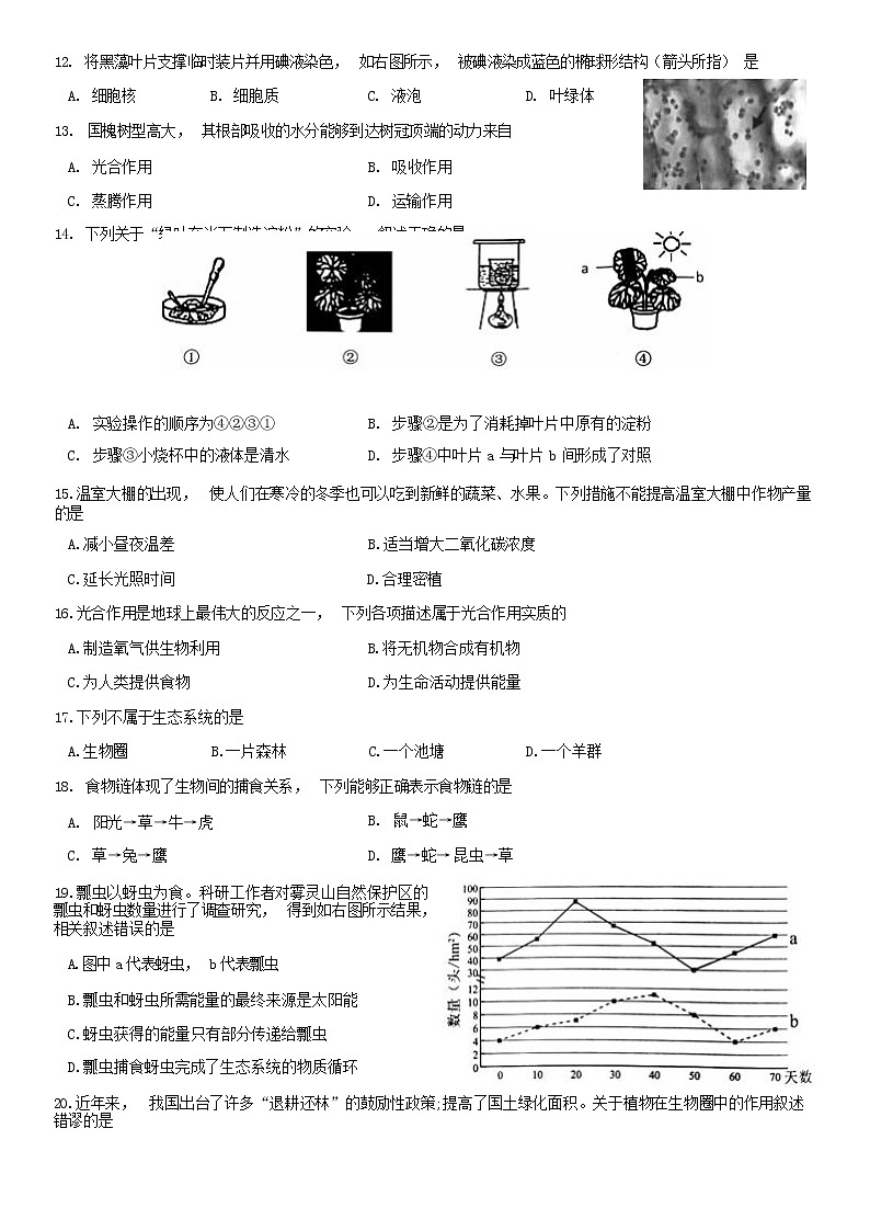 2020北京西城区七年级(上)期末生物试题(原卷版)第3页