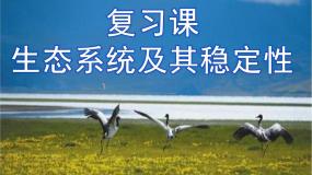 初中生物北师大版八年级下册第1节 生物的生存依赖一定的环境示范课课件ppt