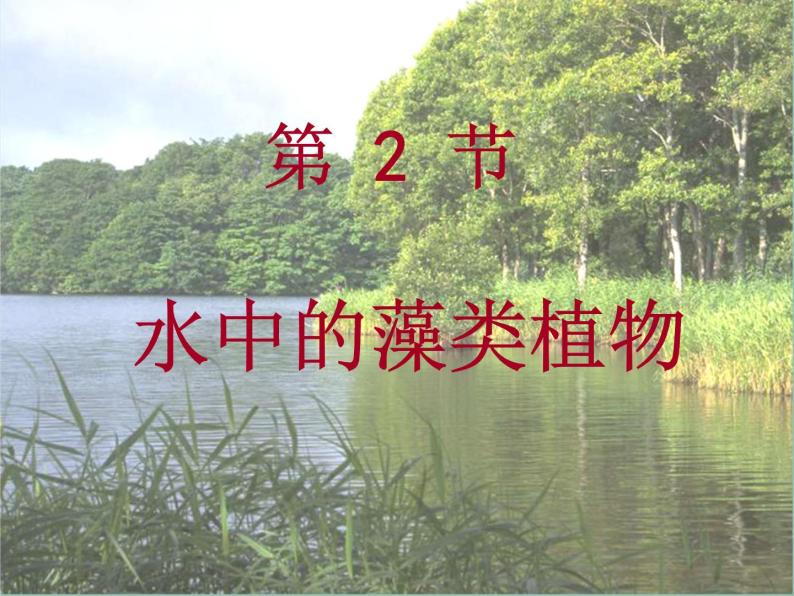 苏科版七下生物 10.2 水中的藻类植物 课件01