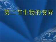 苏科版八下生物 22.2 生物的变异 课件