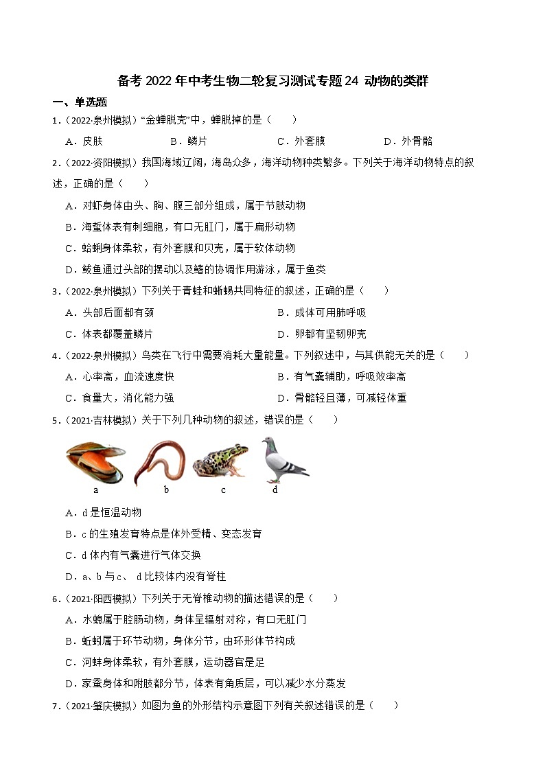 中考生物二轮复习测试专题24 动物的类群(原卷+解析)01