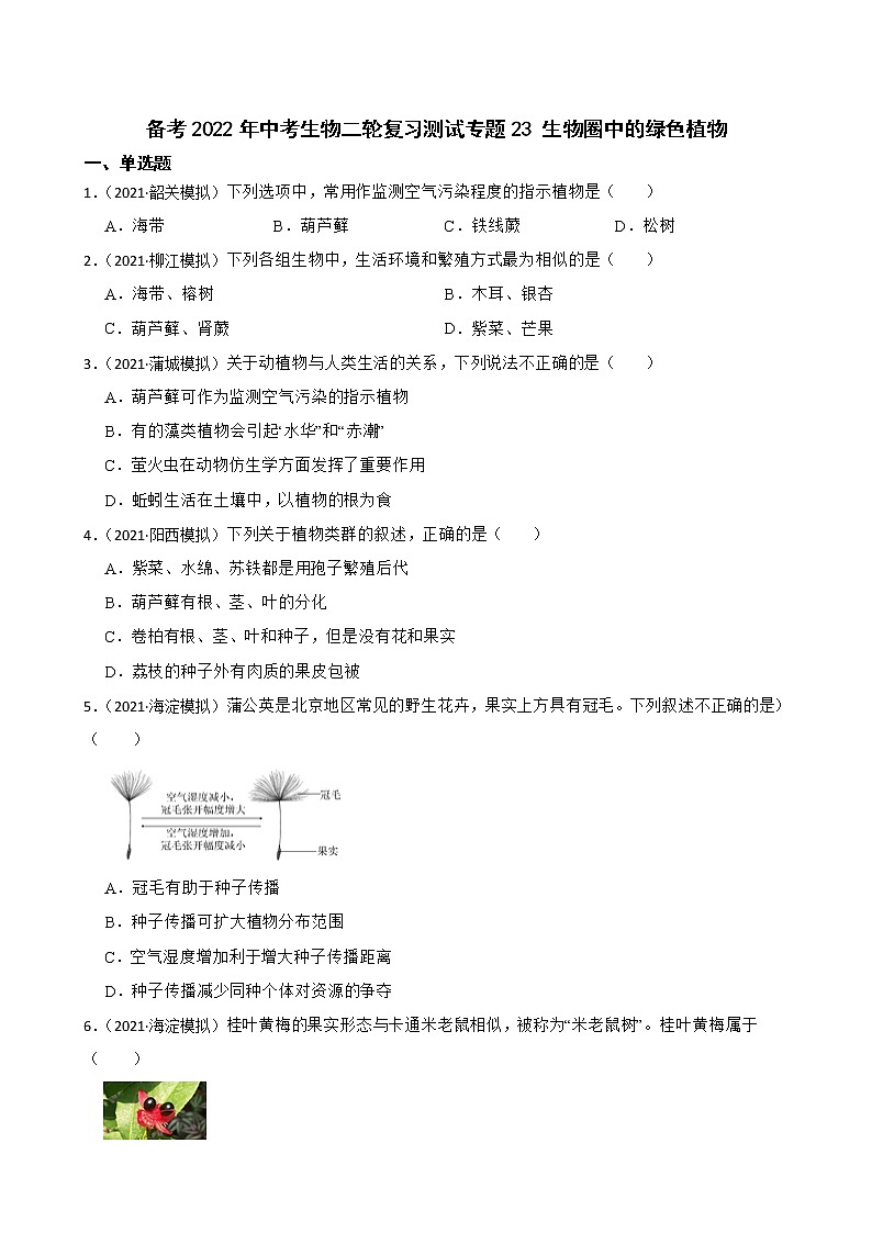 中考生物二轮复习测试专题23 生物圈中的绿色植物(原卷+解析)第1页