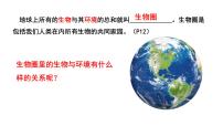 人教版 (新课标)七年级上册第一节 生物与环境的关系教学演示ppt课件