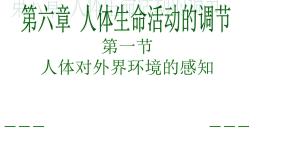 鲁科版 (五四制)七年级下册第四单元 生物圈中的人第六章 人体生命活动的调节第一节 人体对外界环境的感知教课课件ppt
