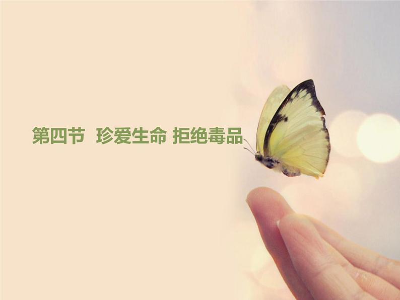 冀教版七年级下册生物 6.4珍爱生命 拒绝毒品 课件第1页