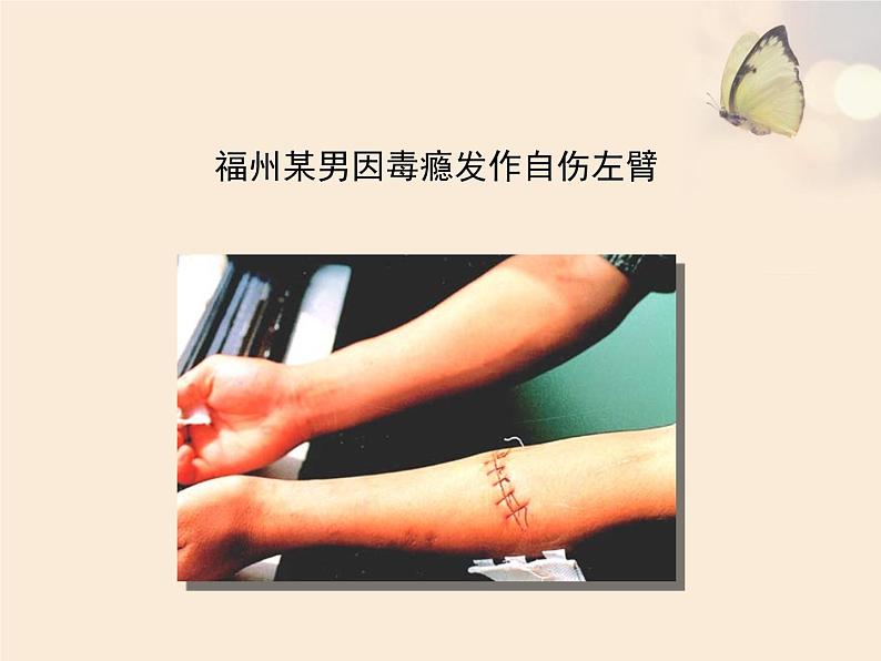 冀教版七年级下册生物 6.4珍爱生命 拒绝毒品 课件第7页