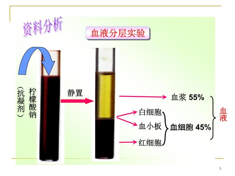 人教版七下生物 4.1流动的组织 血液 课件03