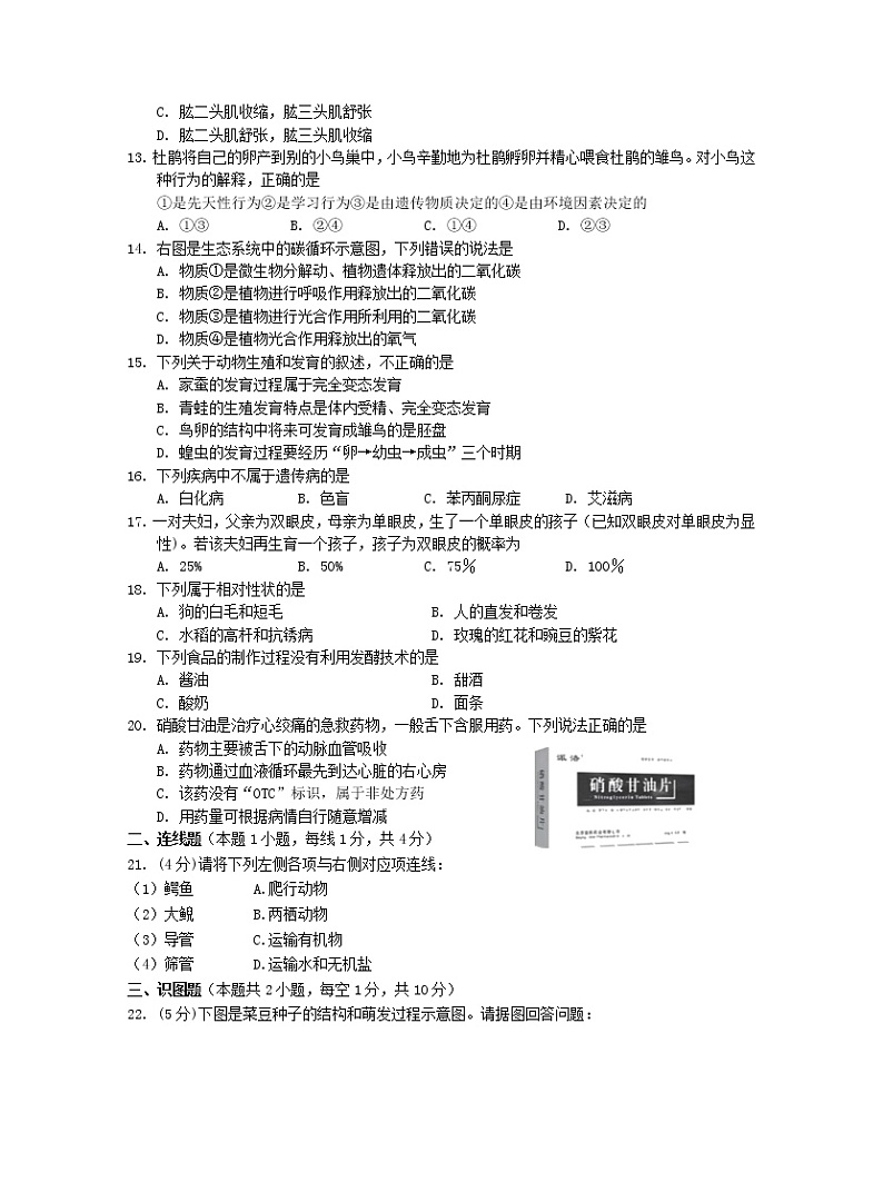 2022年辽宁省沈阳市康平县第二中学初中毕业生学业考试模拟押题卷生物试题(一)(有答案)第2页