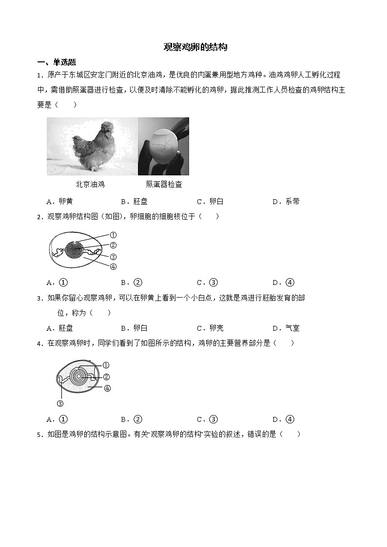 中考生物实验专项复习 观察鸡卵的结构解析版 练习01