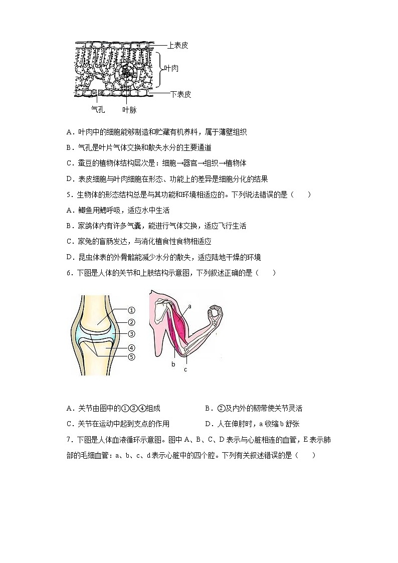 2022年江苏省连云港市灌南县中考二模生物试题(word版含答案)第2页