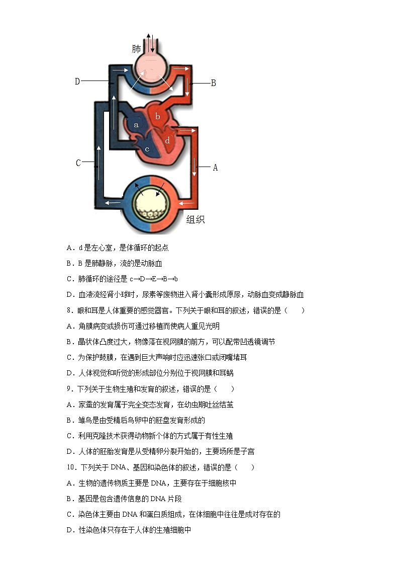 2022年江苏省连云港市灌南县中考二模生物试题(word版含答案)第3页