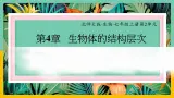 4.2《生物体的器官、系统》課件PPT+教案+同步練習