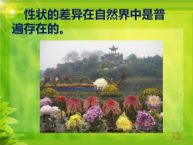 冀教版八年级下册生物 6.2.2变异 课件第5页