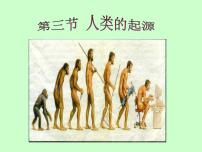 冀教版第六单元  生物的繁衍和发展第三章  生命的起源与进化第三节 人类的起源课堂教学课件ppt